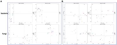 Combination of Aspergillus niger MJ1 with Pseudomonas stutzeri DSM4166 or mutant Pseudomonas fluorescens CHA0-nif improved crop quality, soil properties, and microbial communities in barrier soil